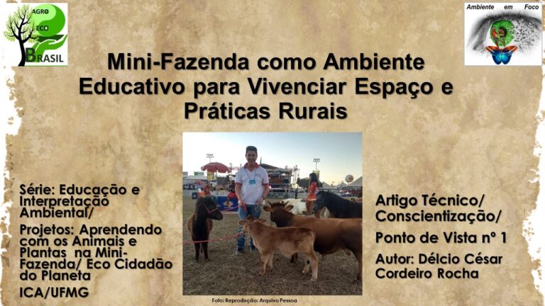 Mini Fazenda 1