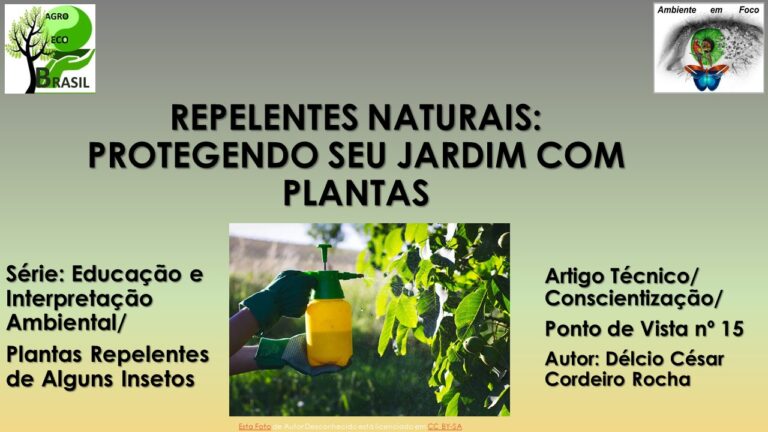 plantas repelentes de insetos 15