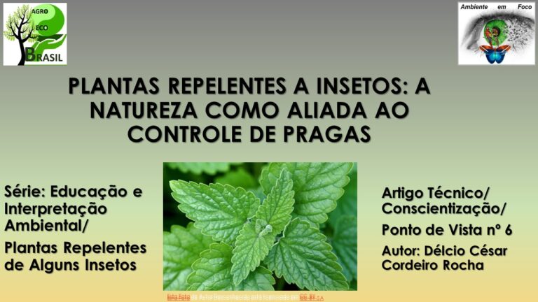 plantas repelentes de insetos 6